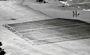 Living By The Sea, I Use Low Tide Beaches As Street Artists Would Use The Walls