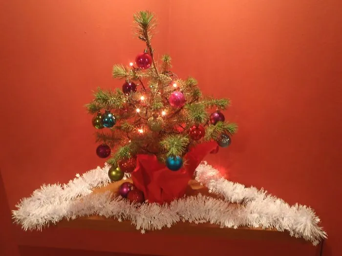 Environmentally Friendly Christmas Tree (planted After Christmas)