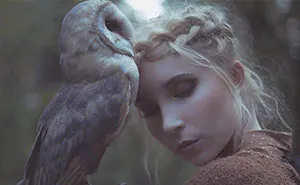 The Owls Are Not What They Seem - Photo Session With Real Birds