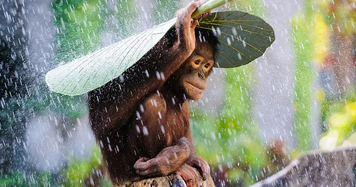 18 Of The Best Entries To The 2015 Sony World Photography Awards