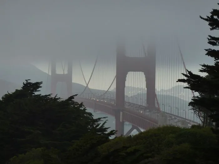Winter Isn't Much In Sf, So Here's A Picture In The Summer. Yes, It's Colder In The Summer.