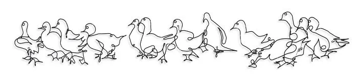 Ducks On Ice