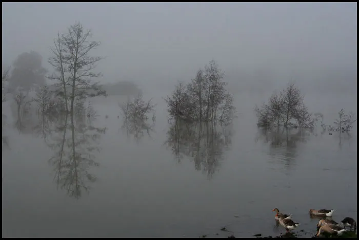 Duck Breakfast