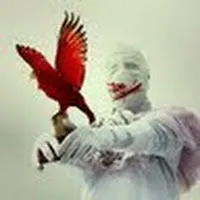 mothmeister