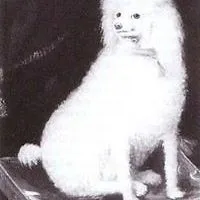 Jayne Siroshton