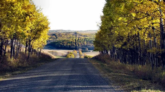 Our Favorite Road Trip Back Road Calgary Alberta.
