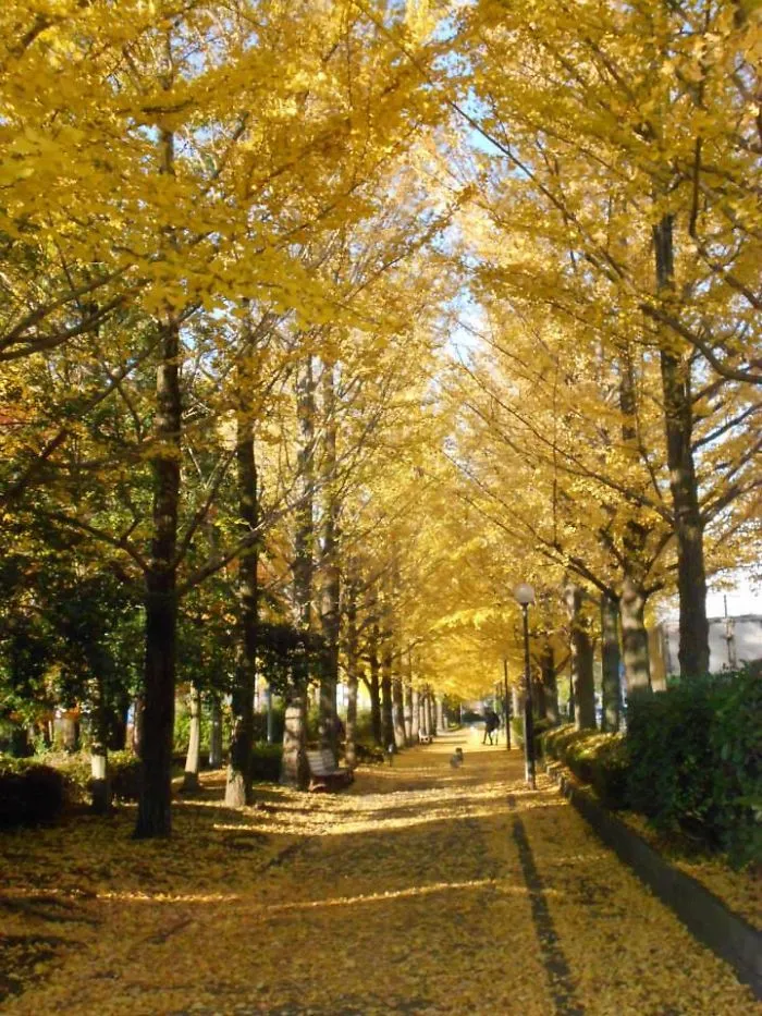 Utsunomiya, Japan
