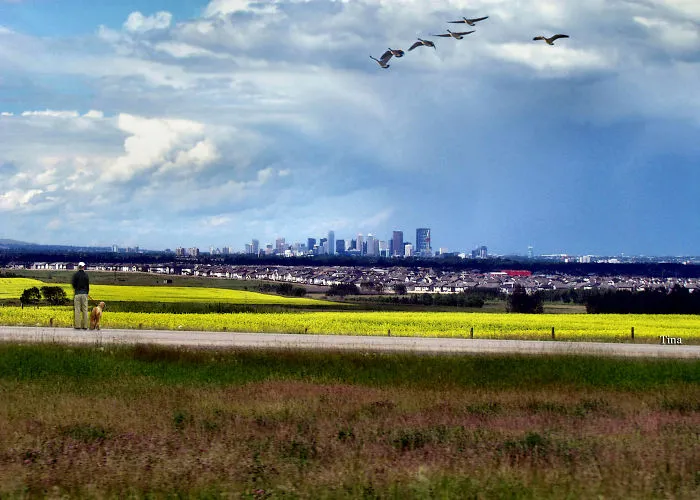 Calgary Alberta