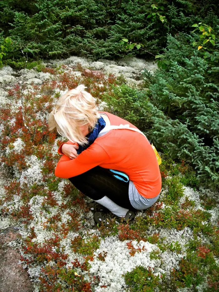 Immersed In Nature, Canada