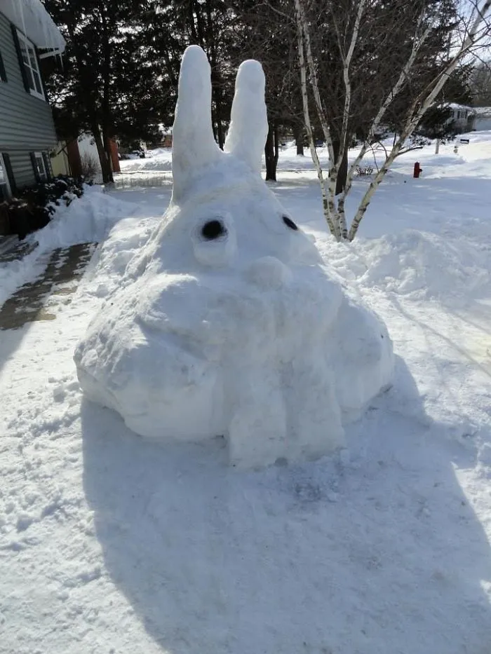 "silly Wabbit"