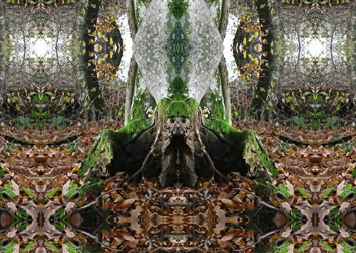 Deep Into Nature - Psychedelic Nature Photography