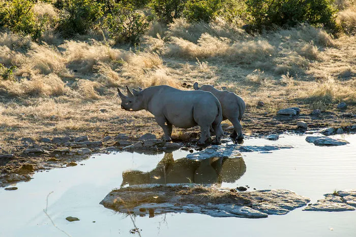 Namibia