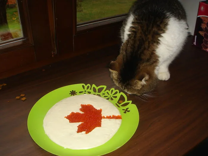My Usual Dinner