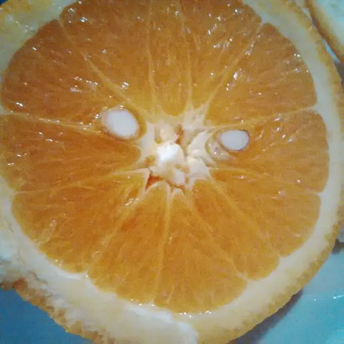 Angry Orange