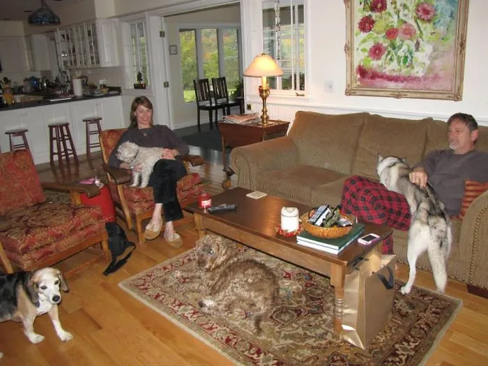 159 Dogs Who Suck At Hide-And-Seek