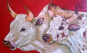 Nguni Cattle
