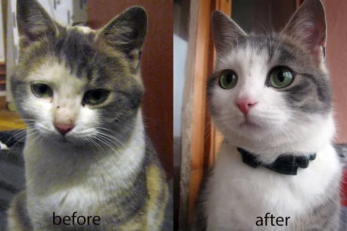 Ara:)- Adopted Her 2 Months Ago