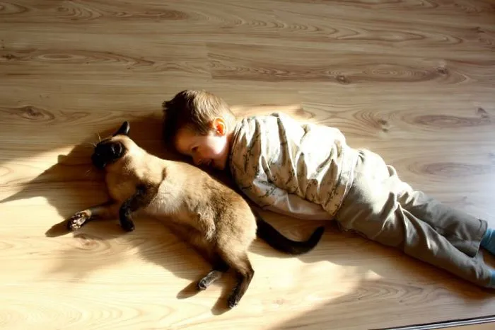 How To Pretend To Be A Cat