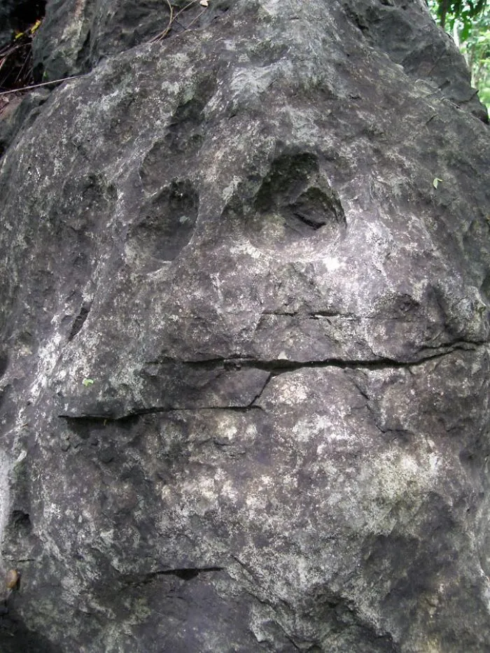 Face In The Rocks