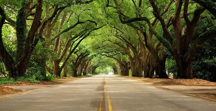 South Boundary, Aiken, South Carolina