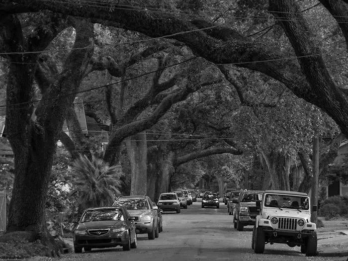 New Orleans La