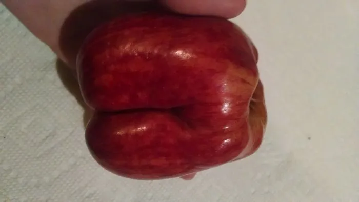 Apple Booty
