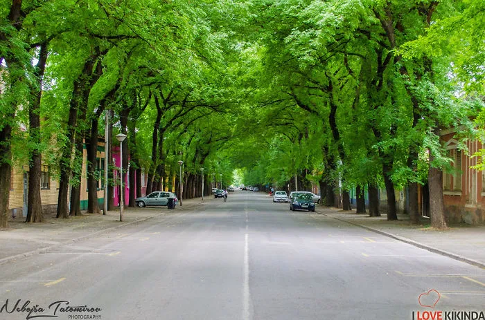 Kikinda, Serbia