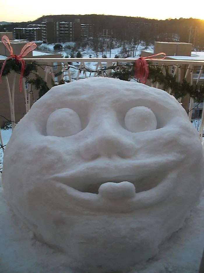 After "snow" Collapsed I Made This
