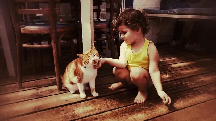 179 Heartwarming Photos Of Kids Playing With Their Cats