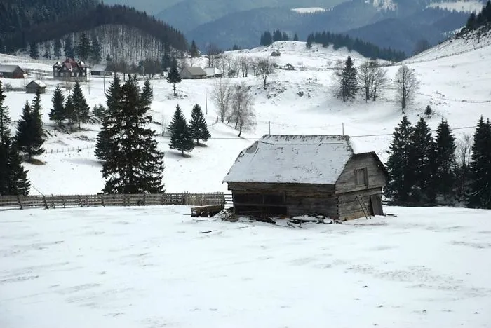 The Shelter. România