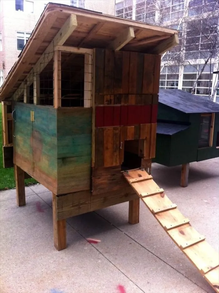 Pigeon Loft