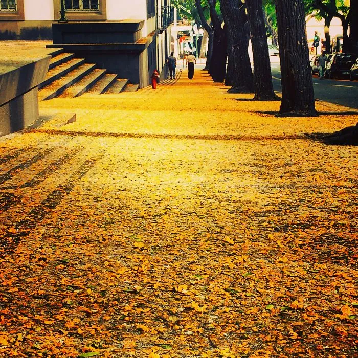 Funchal, Madeira Island, Portugal