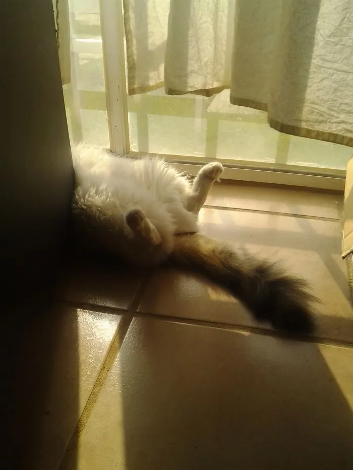 Life's Tough