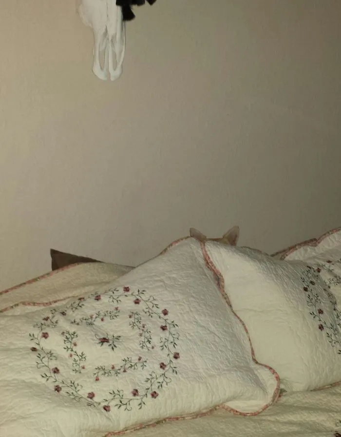 159 Dogs Who Suck At Hide-And-Seek