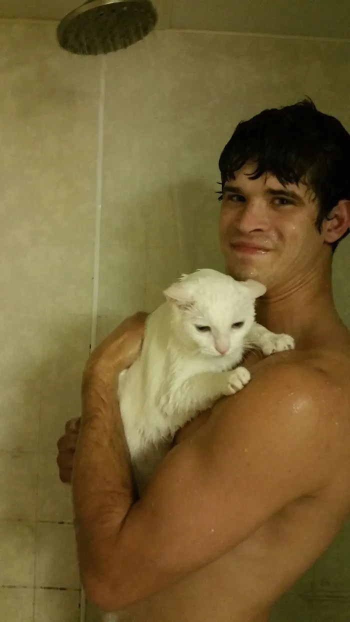 73 Crazy Cats That Actually Love Water