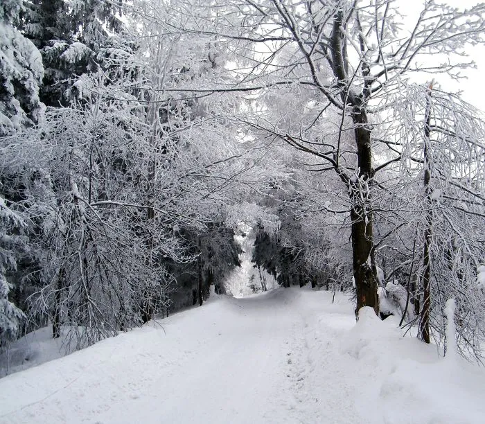 Valasska Bystrice, Czech Republic