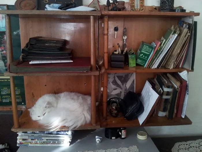 The Place To Sleep.