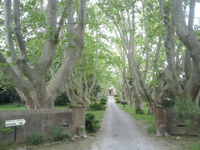 Chateau De Garcinieres, Provence, France