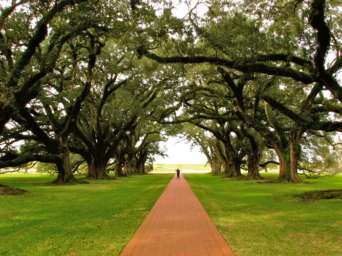 Oak Alley, Vacherie, Usa
