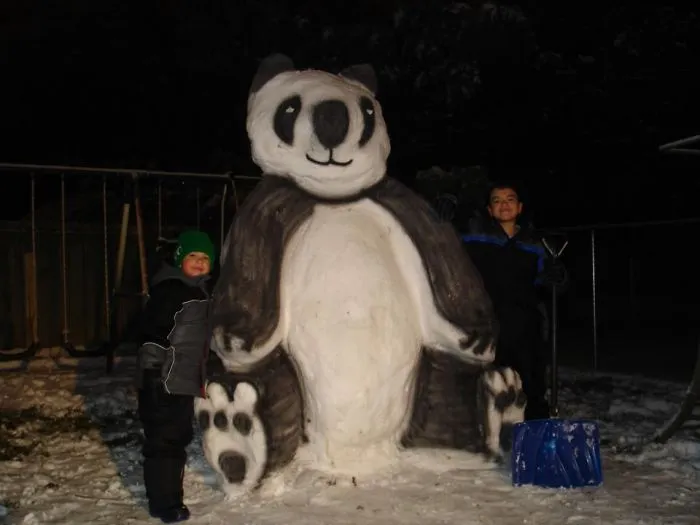 Giant Panda
