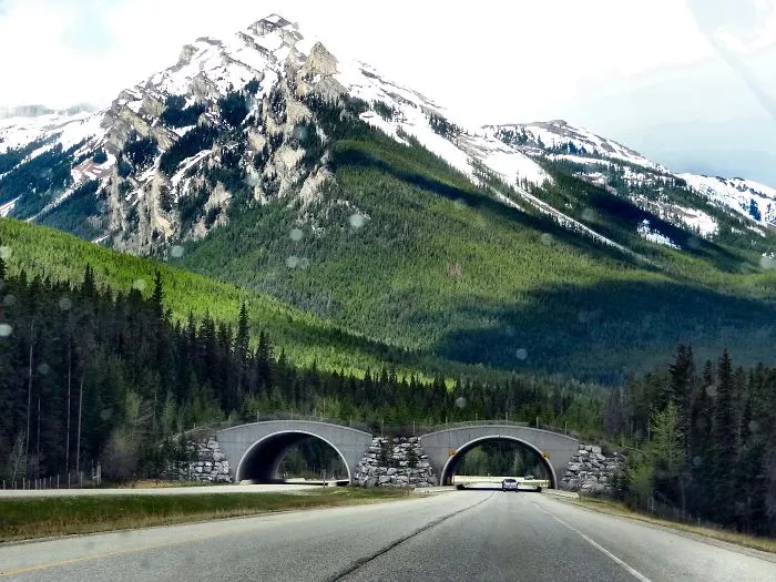 Trans Canada Highway Alberta Rockies
