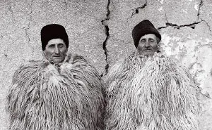 The Twins By Janos Stekovics
