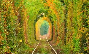 154 Of The World's Most Magical Streets Shaded By Flowers And Trees