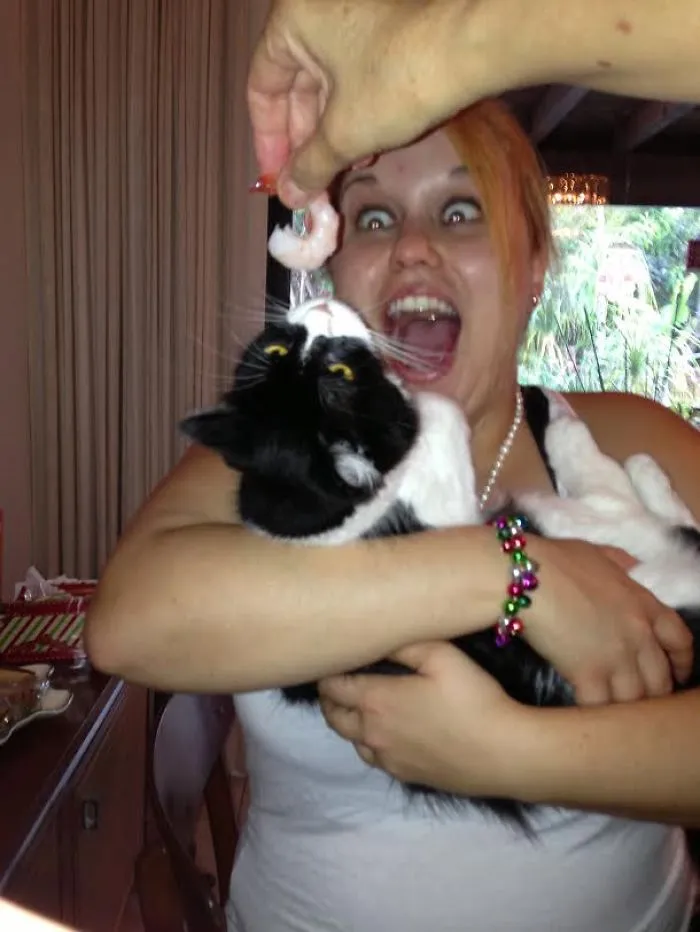 Kitty Hor D'oeuvres