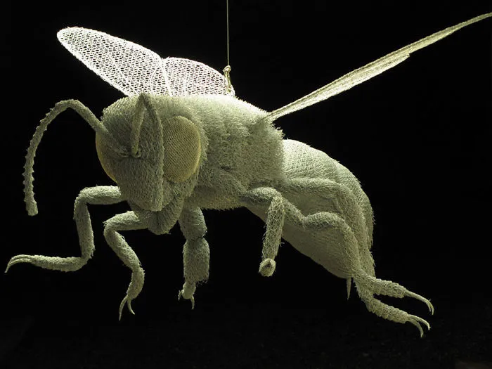 Bee