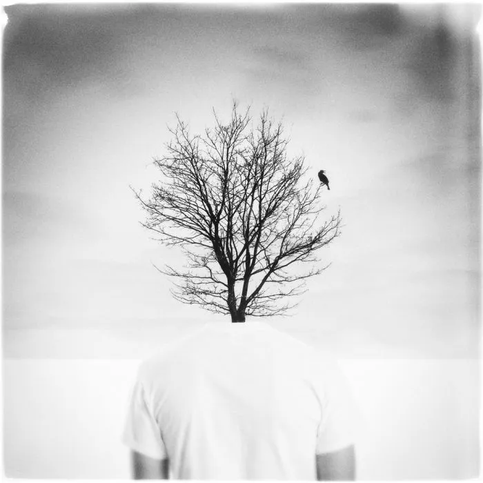 Welcome To The World Of Conceptual Magician Misha Von Jadczak.