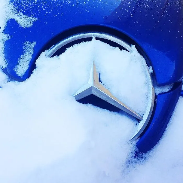 Covered In Ice.