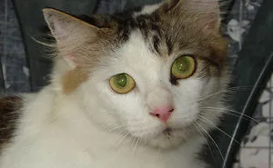 Bobby Rescued In The Nick Of Time