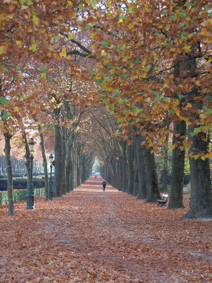 Bruxelles, Belgium
