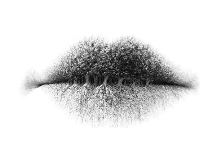 Authenticity – Lips Series 1.10